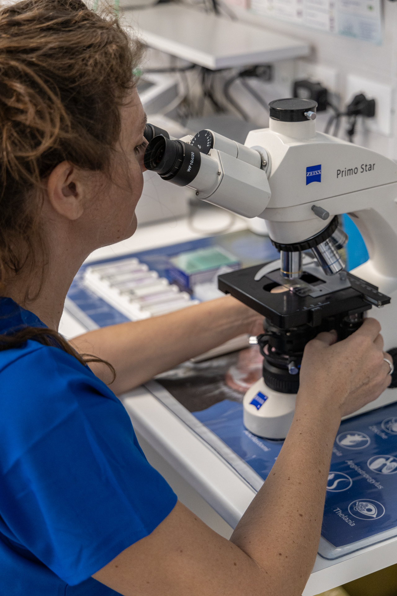 Laboratorio Analisi interno